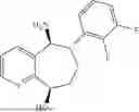 Fig. 16 - TRANSAMINASE MUTANTS AND USES THEREOF