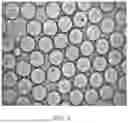 Fig. 04 - HIGH-THROUGHPUT ASSESSMENT OF EXOGENOUS POLYNUCLEOTIDE- OR POLYPEPTIDE-MEDIATED TRANSCRIPTOME PERTURBATIONS