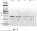 Fig. 05 - HIGH-THROUGHPUT ASSESSMENT OF EXOGENOUS POLYNUCLEOTIDE- OR POLYPEPTIDE-MEDIATED TRANSCRIPTOME PERTURBATIONS