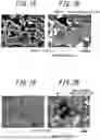 Fig. 02 - GALVANIZED STEEL SHEET AND MEMBER, AND METHOD FOR MANUFACTURING SAME