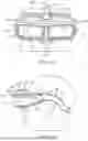 Fig. 03 - ENHANCED AUTONOMOUS HANDS-FREE CONTROL IN ELECTRONIC VISUAL AIDS