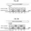 Fig. 09 - BIOMETRIC AUTHENTICATION SYSTEM AND AUTHENTICATION METHOD