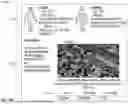 Fig. 22 - Corroborative claim view interface