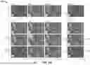 Fig. 02 - OPTIMIZED LIGHT FIELD REPRESENTATION FOR COMPRESSION