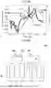 Fig. 22 - INFORMATION PROCESSING APPARATUS AND CONTROL METHOD OF INFORMATION PROCESSING APPARATUS