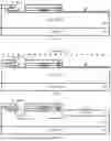 Fig. 08 - DESIGN AND MANUFACTURE OF SELF-ALIGNED POWER MOSFETs
