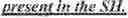 Fig. 586 - Using Subpictures And Tiles In Video Coding