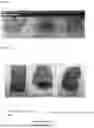 Fig. 02 - PLANT BASED MEAT ANALOG