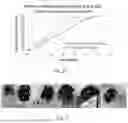 Fig. 12 - Compositions for ophthalmic care