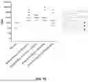 Fig. 25 - Modified meningococcal fHbp polypeptides