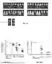 Fig. 26 - Modified meningococcal fHbp polypeptides