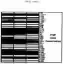 Fig. 09 - MODIFIED ORTHOPOXVIRUS VECTORS
