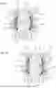 Fig. 06 - VALVE, IN PARTICULAR A VACUUM VALVE