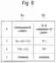 Fig. 09 - MACHINE STATE DETECTING DEVICE