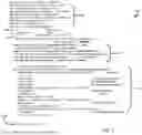 Fig. 05 - DATA OBJECT MANAGEMENT USING DATA OBJECT CLUSTERS