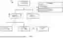 Fig. 10 - DATA OBJECT MANAGEMENT USING DATA OBJECT CLUSTERS