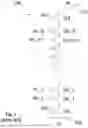 Fig. 02 - FLASH MEMORY CHIP THAT MODULATES ITS PROGRAM STEP VOLTAGE AS A FUNCTION OF CHIP TEMPERATURE