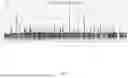 Fig. 04 - Direct and automatic chromatography-mass spectral analysis