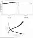 Fig. 13 - FUNCTIONAL INTERPHASE STABILIZER FOR BATTERY ELECTRODES
