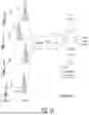 Fig. 02 - Wireless Communication System