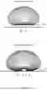 Fig. 09 - PATCH ANTENNA
