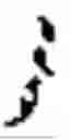Fig. 197 - CONSTRAINS FOR DIFFERENT CODING TOOLS