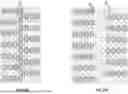 Fig. 85 - SPRING MODULE AND SPRING CUSHION FOR FURNITURE