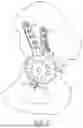 Fig. 02 - IMPLANT DEVICE