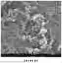Fig. 35 - HOMOGENEOUS BIOPOLYMER SUSPENSIONS, PROCESSES FOR MAKING SAME AND USES THEREOF
