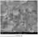 Fig. 40 - HOMOGENEOUS BIOPOLYMER SUSPENSIONS, PROCESSES FOR MAKING SAME AND USES THEREOF