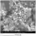 Fig. 41 - HOMOGENEOUS BIOPOLYMER SUSPENSIONS, PROCESSES FOR MAKING SAME AND USES THEREOF
