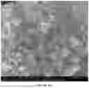 Fig. 44 - HOMOGENEOUS BIOPOLYMER SUSPENSIONS, PROCESSES FOR MAKING SAME AND USES THEREOF