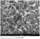 Fig. 45 - HOMOGENEOUS BIOPOLYMER SUSPENSIONS, PROCESSES FOR MAKING SAME AND USES THEREOF