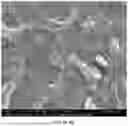 Fig. 46 - HOMOGENEOUS BIOPOLYMER SUSPENSIONS, PROCESSES FOR MAKING SAME AND USES THEREOF
