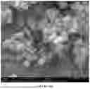 Fig. 49 - HOMOGENEOUS BIOPOLYMER SUSPENSIONS, PROCESSES FOR MAKING SAME AND USES THEREOF