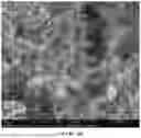 Fig. 53 - HOMOGENEOUS BIOPOLYMER SUSPENSIONS, PROCESSES FOR MAKING SAME AND USES THEREOF