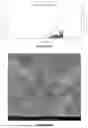 Fig. 65 - HOMOGENEOUS BIOPOLYMER SUSPENSIONS, PROCESSES FOR MAKING SAME AND USES THEREOF
