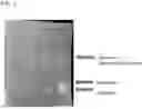 Fig. 02 - COMPOSITION INCLUDING DECURSINOL AS ACTIVE INGREDIENT FOR PREVENTING OR TREATING SMOOTH MUSCLE CELL PROLIFERATIVE DISEASES