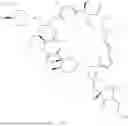 Fig. 366 - RAPAMYCIN ANALOGS AND USES THEREOF