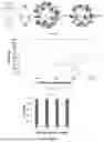 Fig. 02 - ORGANO-PHOSPHATE MODIFIED METAL ORGANIC FRAMEWORKS AND APPLICATIONS