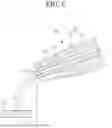 Fig. 07 - NOZZLE AND PRINTING DEVICE INCLUDING SAME