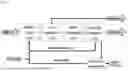 Fig. 02 - PROCESS FOR STARTING UP A PLANT FOR REMOVING ISOBUTENE FROM A C4-HYDROCARBON MIXTURE