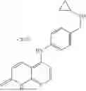 Fig. 103 - NOVEL NAPHTHYRIDINONE DERIVATIVE HAVING INHIBITORY ACTIVITY AGAINST ECTONUCLEOTIDE PYROPHOSPHATASE-PHOSPHODIESTERASE AND USE THEREOF
