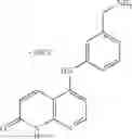 Fig. 97 - NOVEL NAPHTHYRIDINONE DERIVATIVE HAVING INHIBITORY ACTIVITY AGAINST ECTONUCLEOTIDE PYROPHOSPHATASE-PHOSPHODIESTERASE AND USE THEREOF