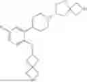 Fig. 173 - 2-AZASPIRO[3.4]OCTANE DERIVATIVES AS M4 AGONISTS