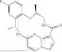 Fig. 08 - DIARYL MACROCYCLES AS MODULATORS OF PROTEIN KINASES