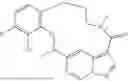 Fig. 85 - DIARYL MACROCYCLES AS MODULATORS OF PROTEIN KINASES