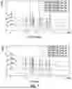 Fig. 06 - AMORPHOUS AND CRYSTALLINE FORMS OF MCL-1 ANTAGONISTS