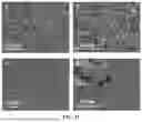 Fig. 35 - ANTHRAQUINONE-BASED COVALENT ORGANIC FRAMEWORKS