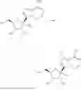 Fig. 55 - ANTIVIRAL APPLICATION OF NUCLEOSIDE ANALOG OR COMBINATION FORMULATION CONTAINING NUCLEOSIDE ANALOG